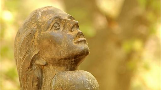 Rain Catchment Video Thumbnail