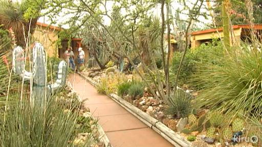 Hardy Agaves Video Thumbnail