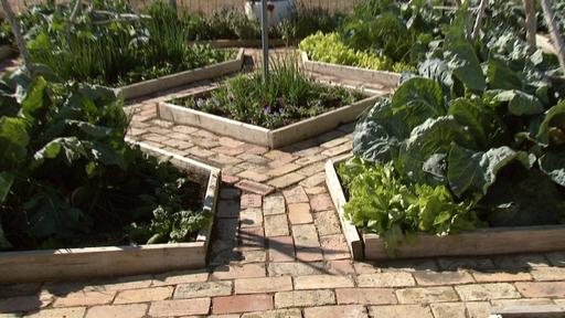 Resolution Gardens Fall Vegetables Video Thumbnail