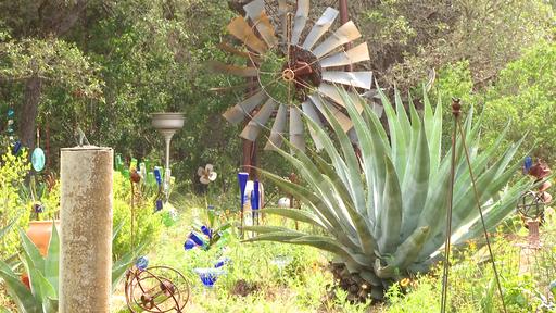 Groundcovers for Dry Shade Video Thumbnail