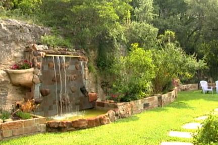 Tree Problems Video Thumbnail