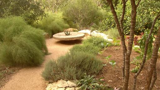 Drought Garden Balance Video Thumbnail