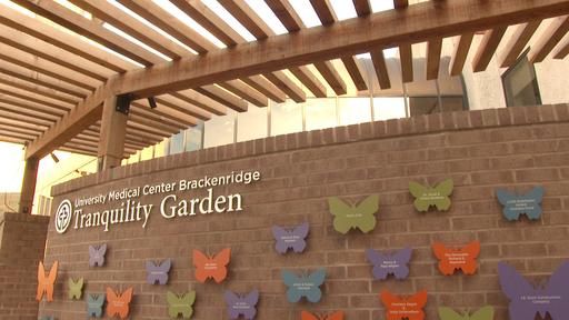 Roses With Personality Video Thumbnail