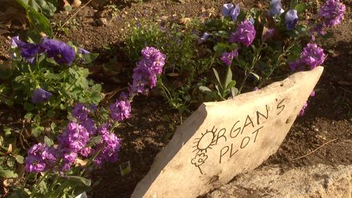 Good Taste And Health With Herbs Video Thumbnail