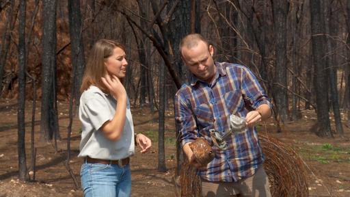 Return to Bastrop, TX Video Thumbnail