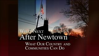 What Next After Newtown