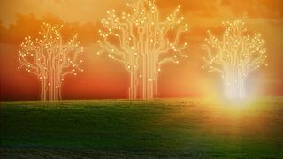 Silicon Valley Preview