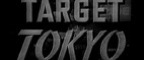 American Experience: Government Film: Target Tokyo