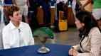 Antiques Roadshow | Coming Monday, September 10, at 8/7C, Mobile, Hour 3 | PBS