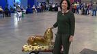 Antiques Roadshow | Appraisal: Hush Puppy Mascot Sales Display | PBS
