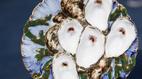 Antiques Roadshow | Appraisal: Presidential Oyster Plates, ca. 1880 | PBS