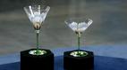 Antiques Roadshow | Appraisal: Two Theresienthal Art Nouveau Goblets, ca. 1900 | PBS