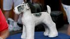 Antiques Roadshow | Appraisal: Weller Dog Lawn Ornament, ca. 1925 | PBS