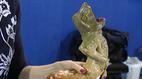 Antiques Roadshow | Appraisal: Sarreguemines Pottery Figure | PBS