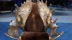 Antiques Roadshow | Appraisal: Moose, Elk & Buffalo Hide Chair, ca. 1920 | PBS
