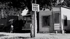The Dust Bowl | The Dust Bowl: Fresh Start