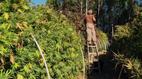 Frontline: The Pot Republic