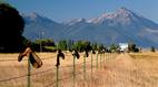Frontline: Big Sky, Big Money