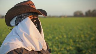 Rape in the Fields