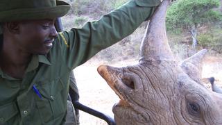 Turning Poachers into Preservationists in Africa