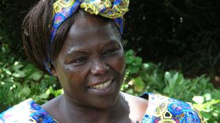 Coming to Global Voices: Taking Root