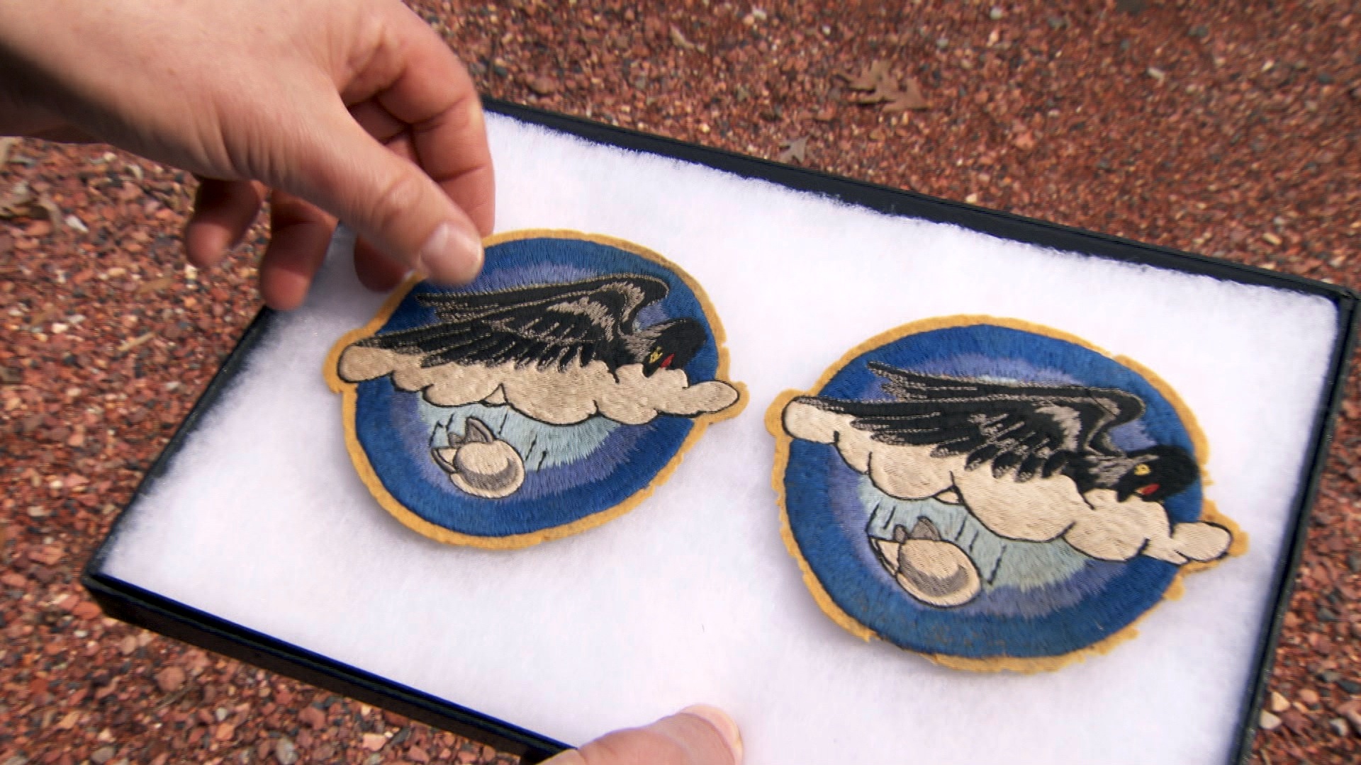 History Detectives | World War II Patch: Bird of War | PBS