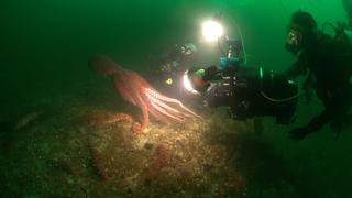 Inside Nature's Giants, 