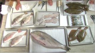 How to Prepare Fish