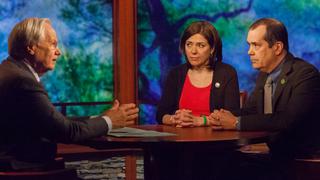 The Sandy Hook Promise