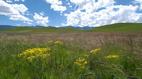Nature: Drakensberg: Barrier of Spears