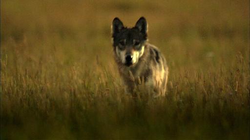 River of No Return Video Thumbnail