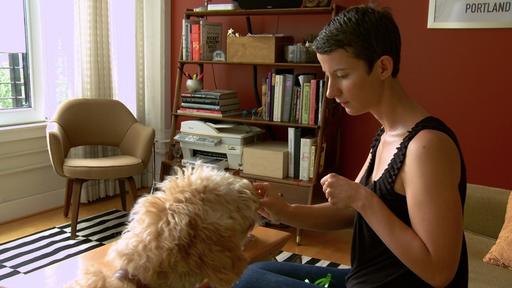 Employment’s new look Video Thumbnail