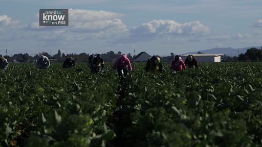 Main Street: Salinas, California Video Thumbnail