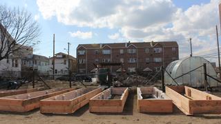 Restoring the Rockaways