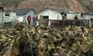 PBS NewsHour: Strange Bedfellows Fight to Keep Oyster Farm in Operation