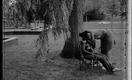 PBS NewsHour | Photographer Explores ‘Chicago’s Bloody Year’ | PBS