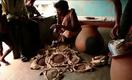 PBS NewsHour: Struggling Farmers in India Find Promise in Ancient Seeds
