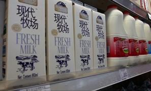 Could a Surplus of California Milk Fulfill China's Needs?
