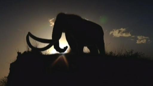 Ice Age Death Trap Video Thumbnail