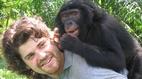 Nova: Ape Genius