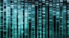 Nova: Cracking Your Genetic Code