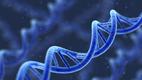 Nova: Cracking the Code of Life