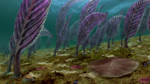 Australia’s First 4 Billion Years: Life Explodes Video Thumbnail