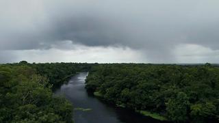 Fertilizing the Amazon