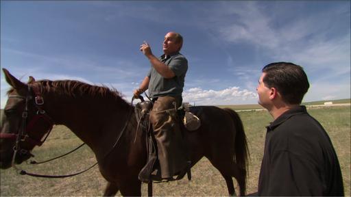 New Toilet, Lawn Patch Video Thumbnail