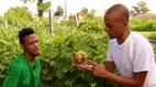 Religion & Ethics NewsWeekly | Food Desert