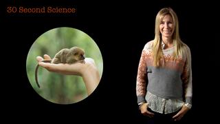 30 Second Science: Mireya Mayor