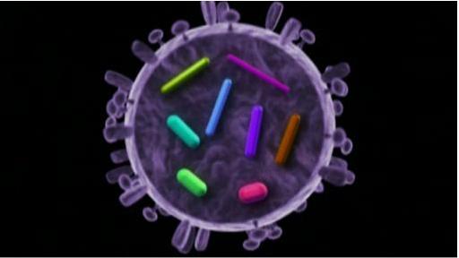 Killer Flu Video Thumbnail