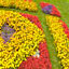 Quilt Gardens