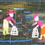 SewSumi Quilts and Textiles